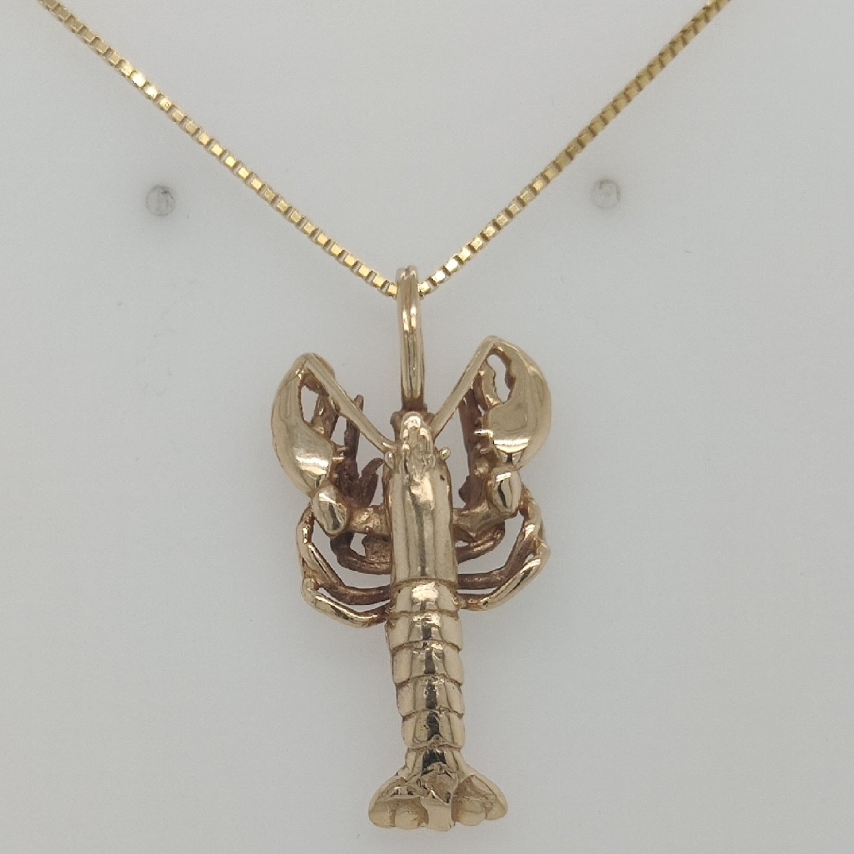14K Yellow Gold Lobster Pendant on Box Chain 18 Inches