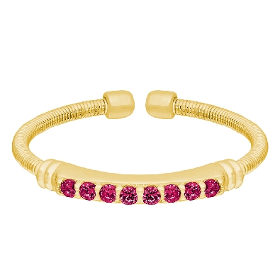 DSGN243