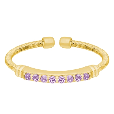 DSGN244
