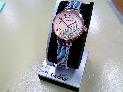 1644: One ladies hand painted Fern motif rose gold tone Cardinal watch 