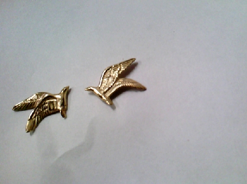 2689: One pair of 10k yellow gold Seagull stud earrings