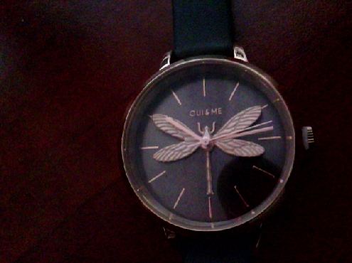 3084: One ladies Oui & Me brand Rose gold plated case with gray leather watch strap with a 3D Dragonfly on dial.