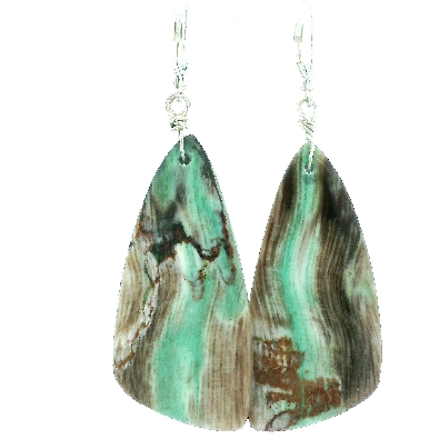 Providence Collection  Opalized Wood Gemstone Earrings  Very unique...