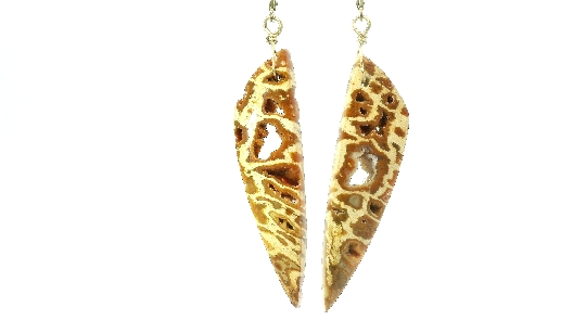 Providence Collection  Fossilized Palm Wood Drop Earrings  Very uni...
